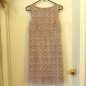 Ann Taylor lace overlay beige sheath dress size 4
